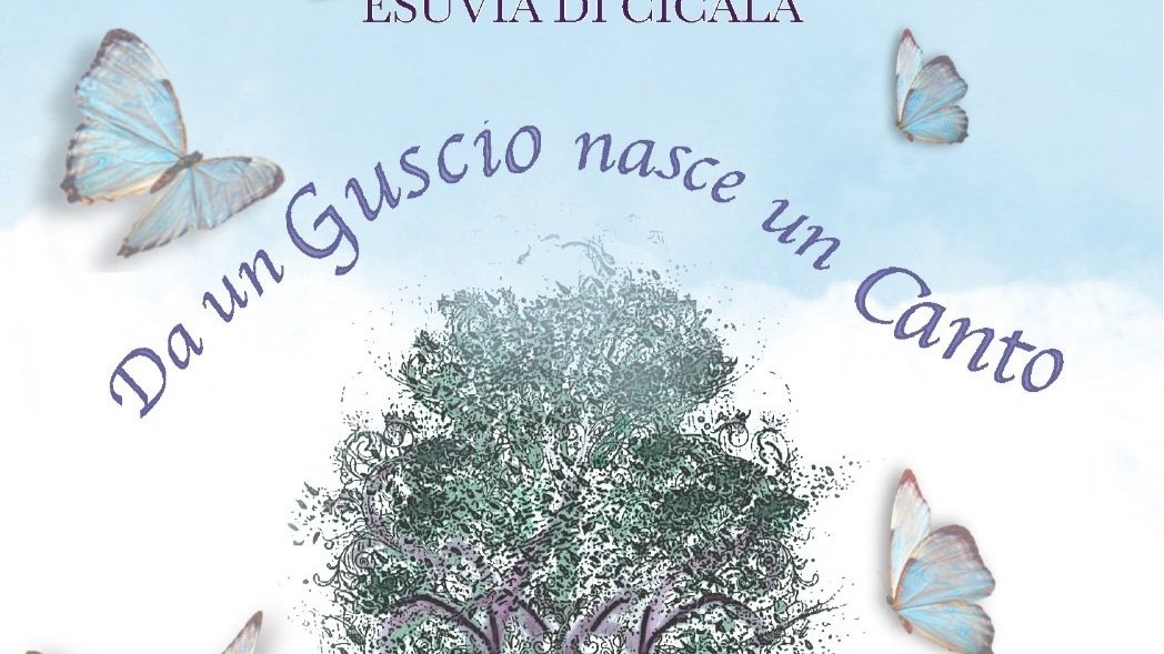 Da un guscio nasce un canto