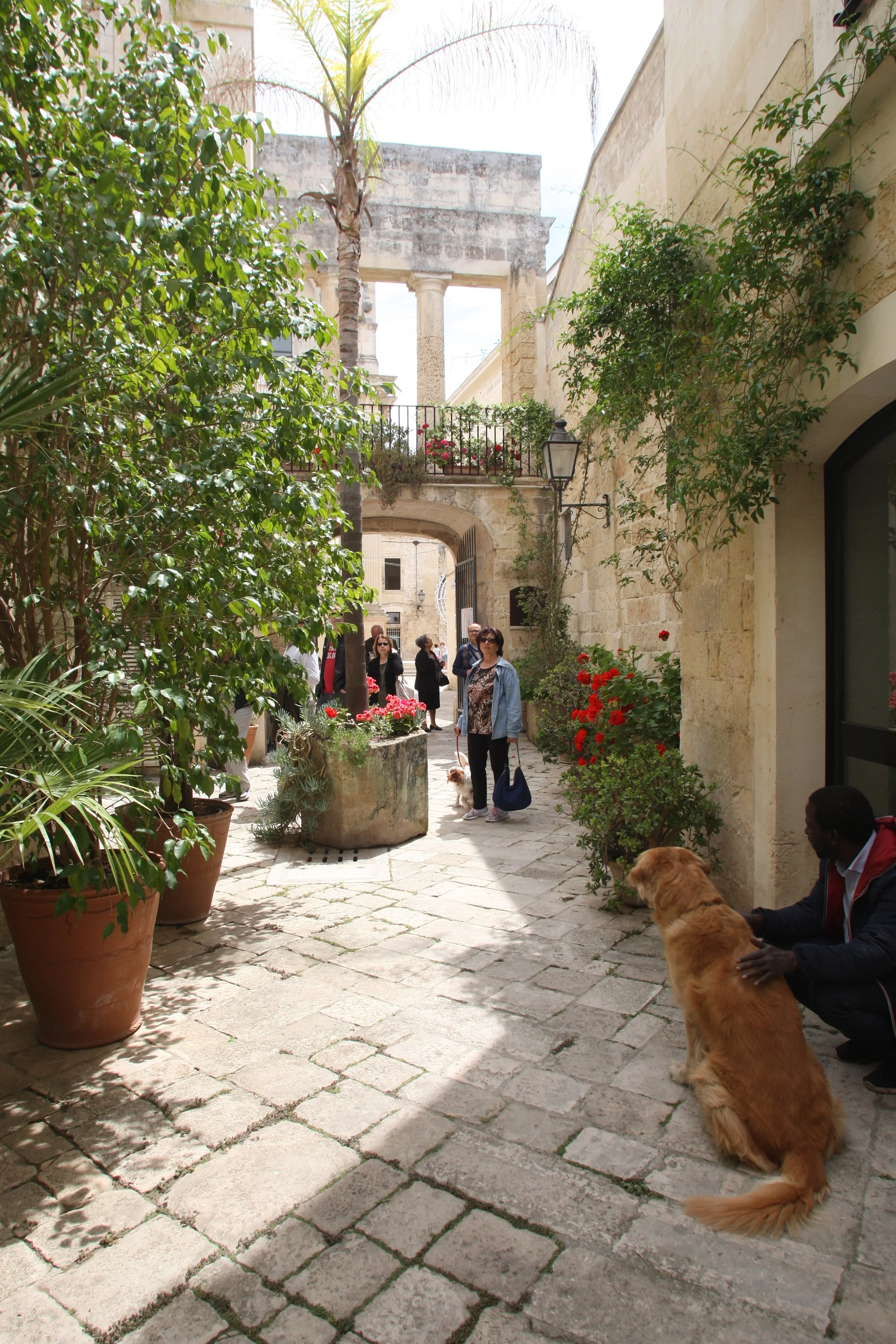 Cortili Aperti Lecce_una delle passate edizioni.JPG