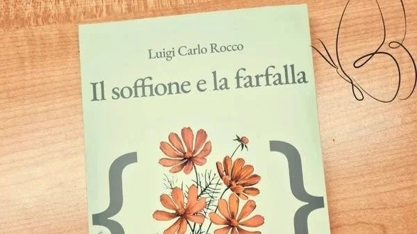 Il soffione e la farfalla