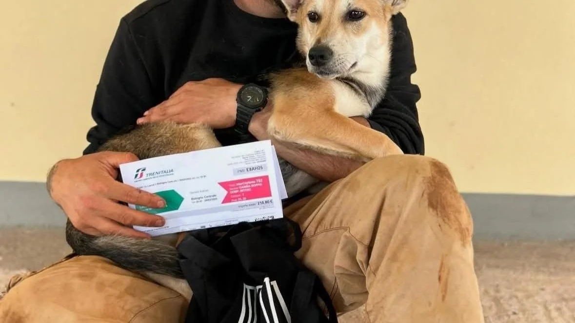 Il Raffo Parco Gondar di Gallipoli ospita “Io per te - Pet Day”