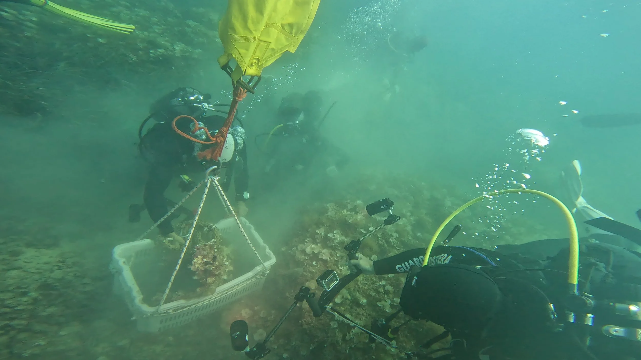 GX018983 - frame at 2m36s.jpg
