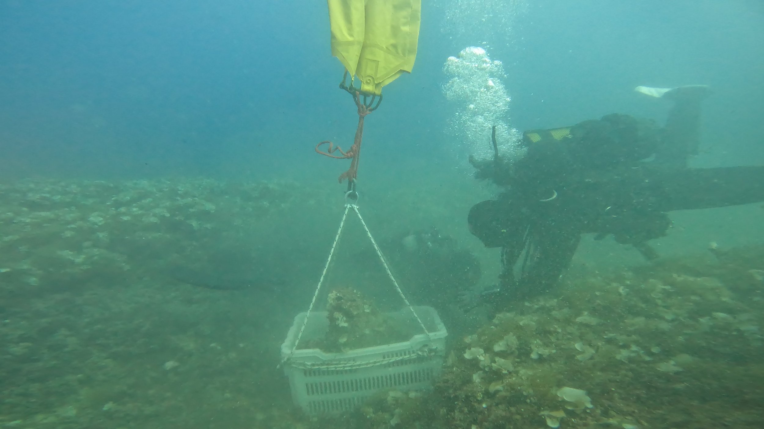 GX018965 - frame at 2m22s.jpg