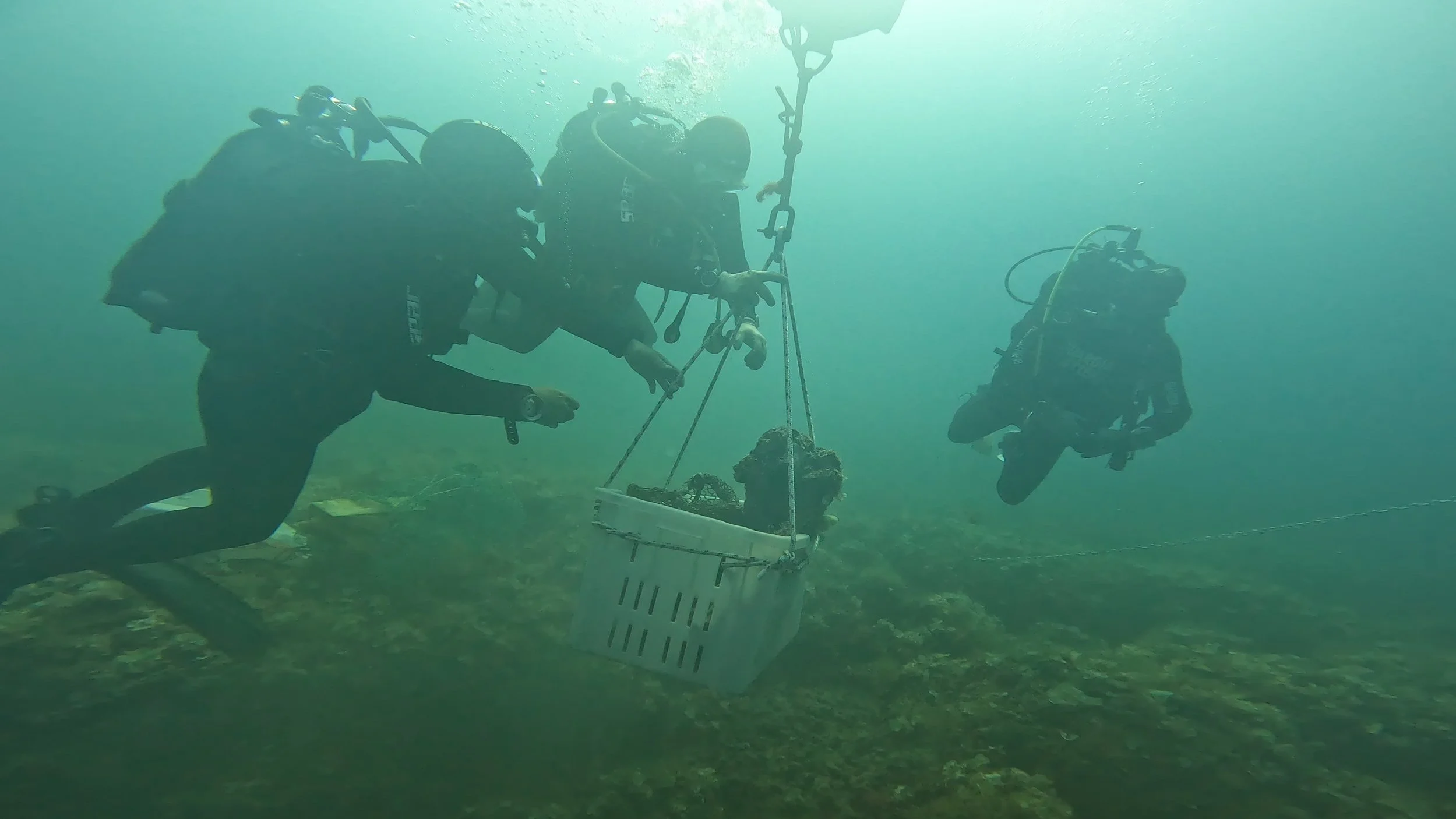 LA PUGLIA PIÙ ANTICA SVELATA DAL MARE