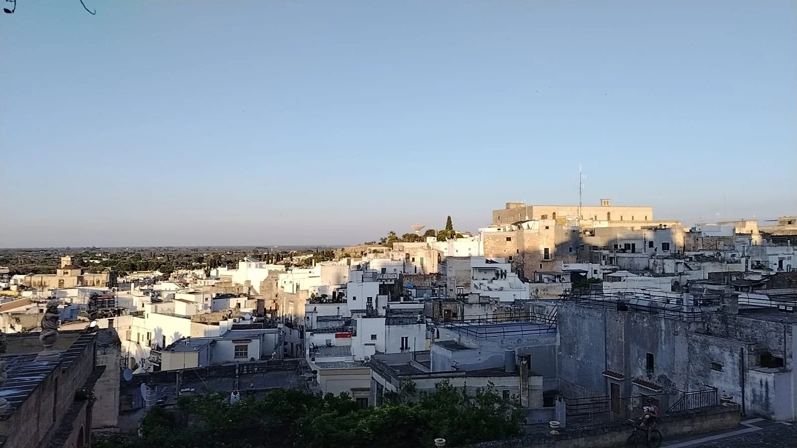 WhatsApp Image 2025-06-26 at 08.04.03.jpeg