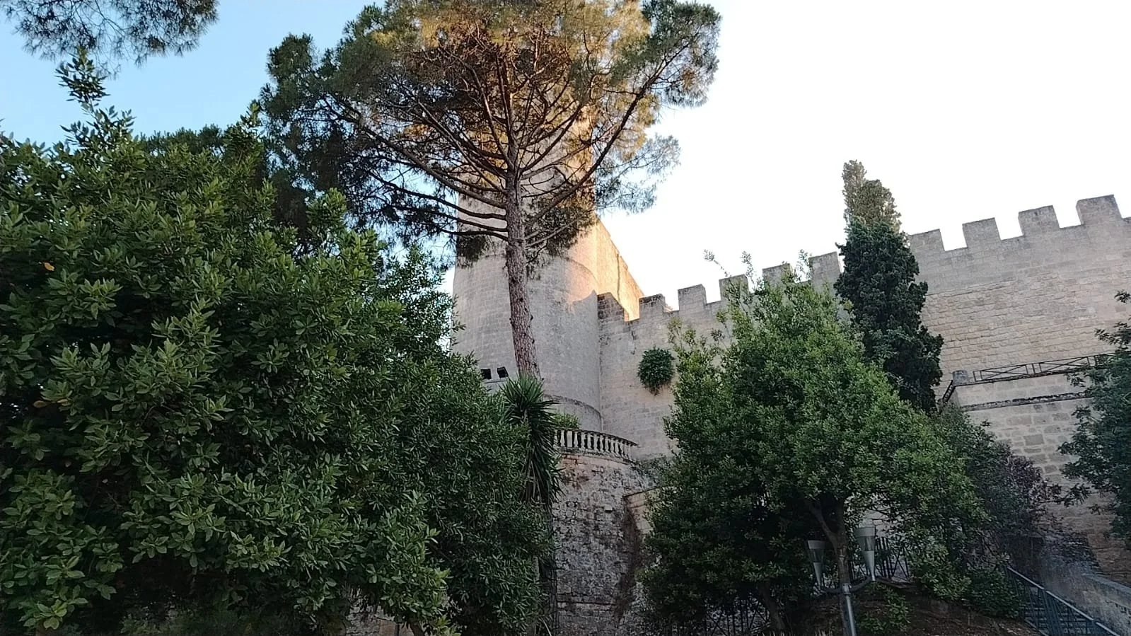 WhatsApp Image 2025-06-26 at 08.04.02.jpeg