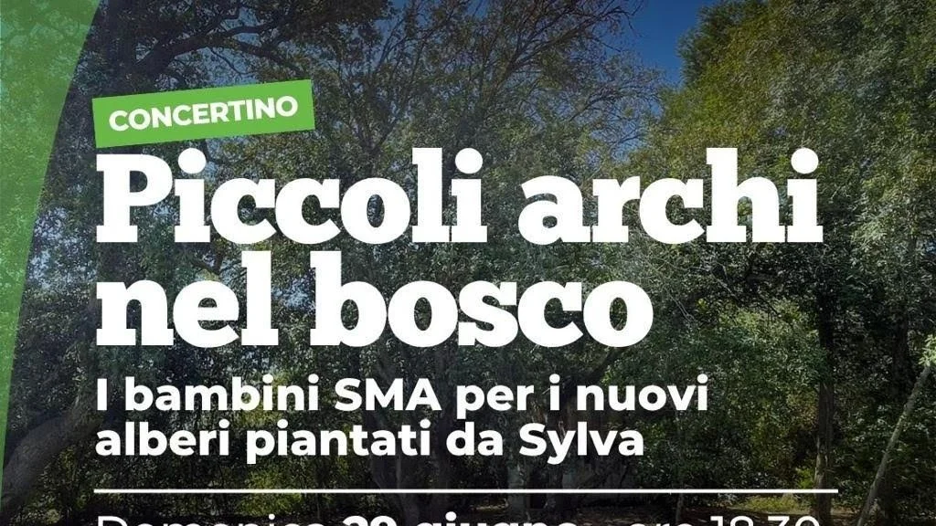 Domani a Fondazione Le Costantine di Casamassella "Piccoli archi nel bosco"