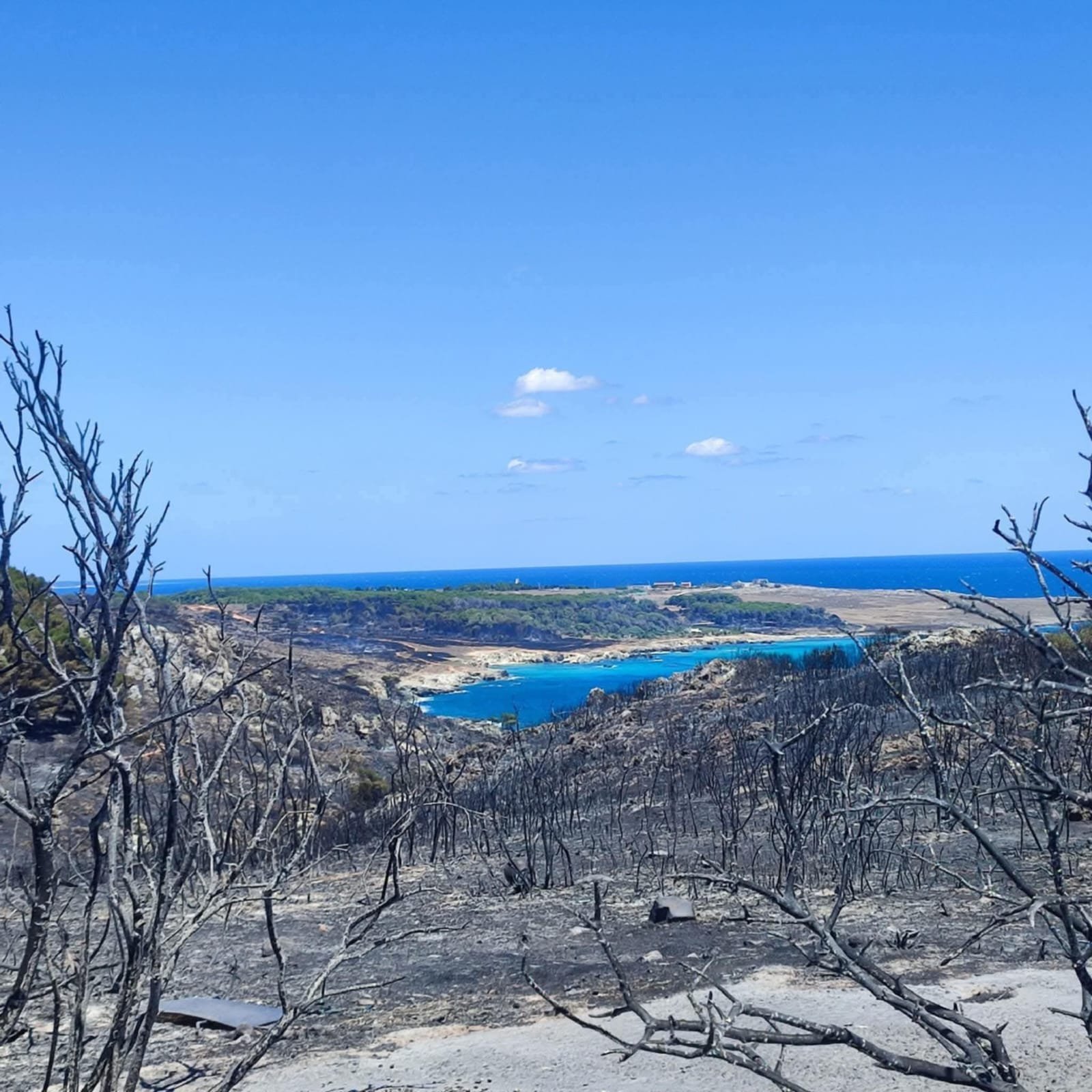 WhatsApp Image 2025-07-11 at 10.02.32.jpeg