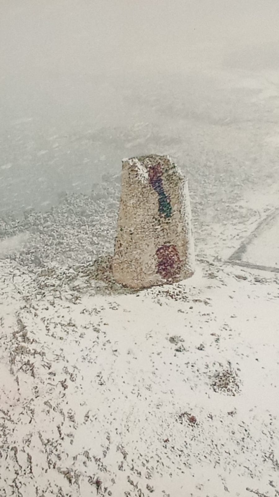 WhatsApp Image 2025-07-11 at 09.59.14 (2).jpeg