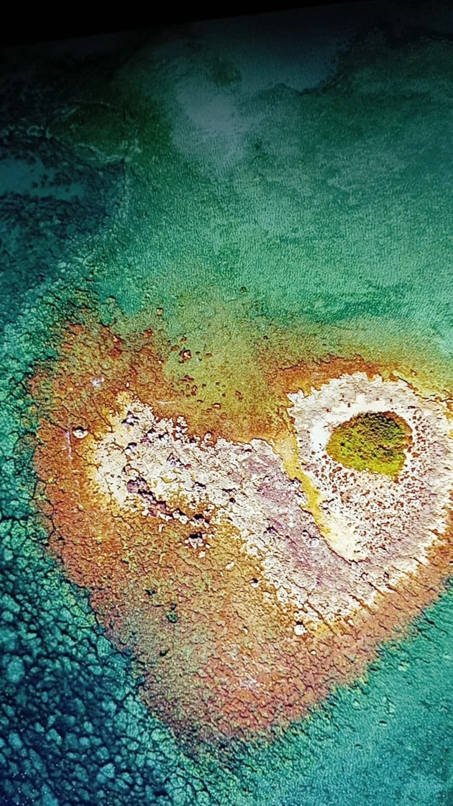 WhatsApp Image 2025-07-11 at 09.59.13.jpeg