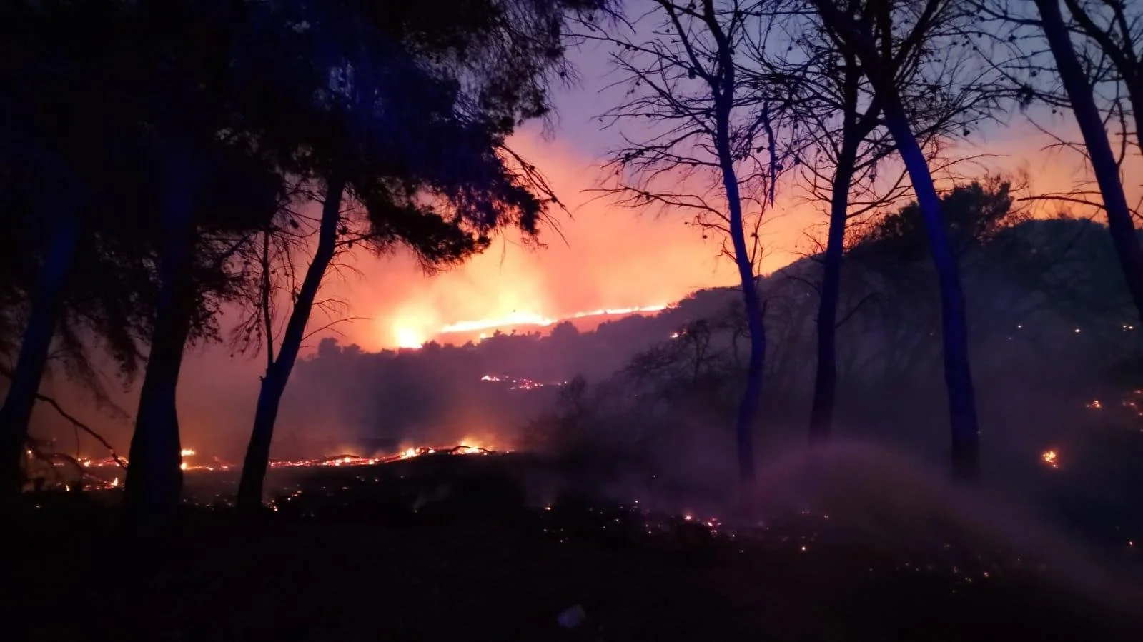 WhatsApp Image 2025-07-09 at 22.10.51.jpeg