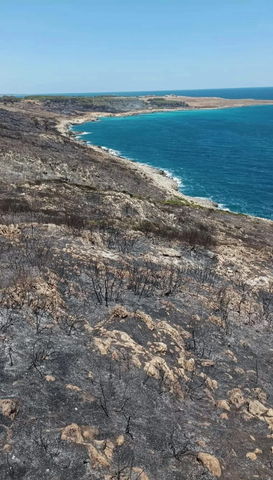 WhatsApp Image 2025-07-10 at 14.57.42.jpeg