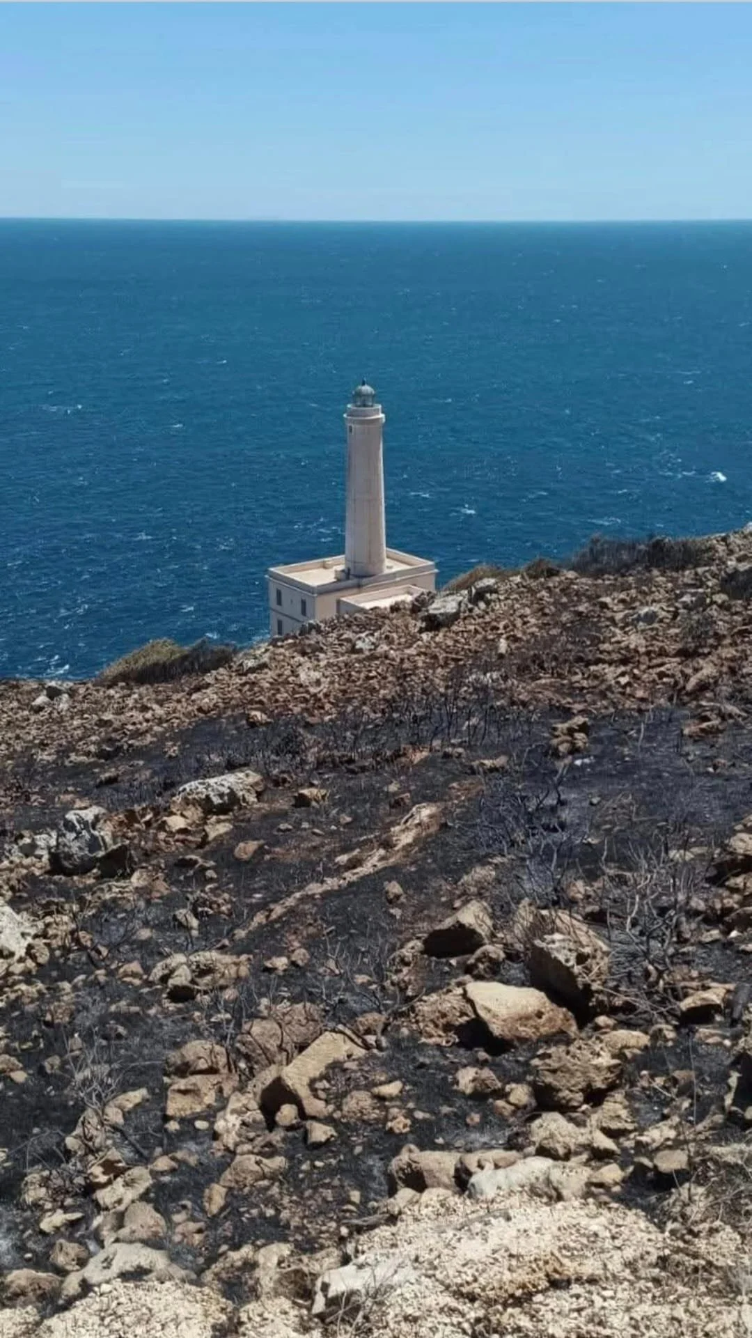 WhatsApp Image 2025-07-10 at 14.57.43.jpeg