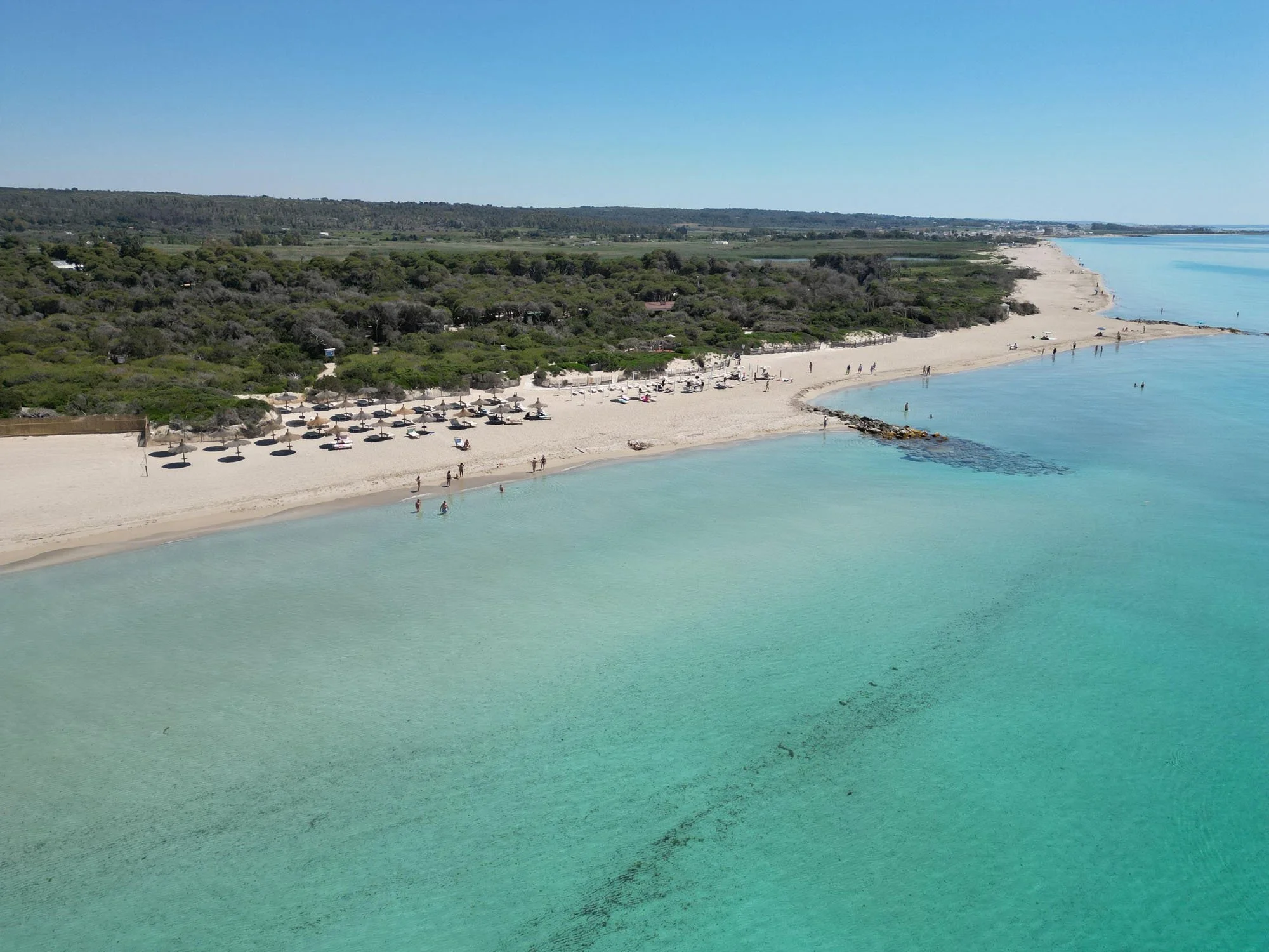 LidoPineta_MarinadiUgento.jpg