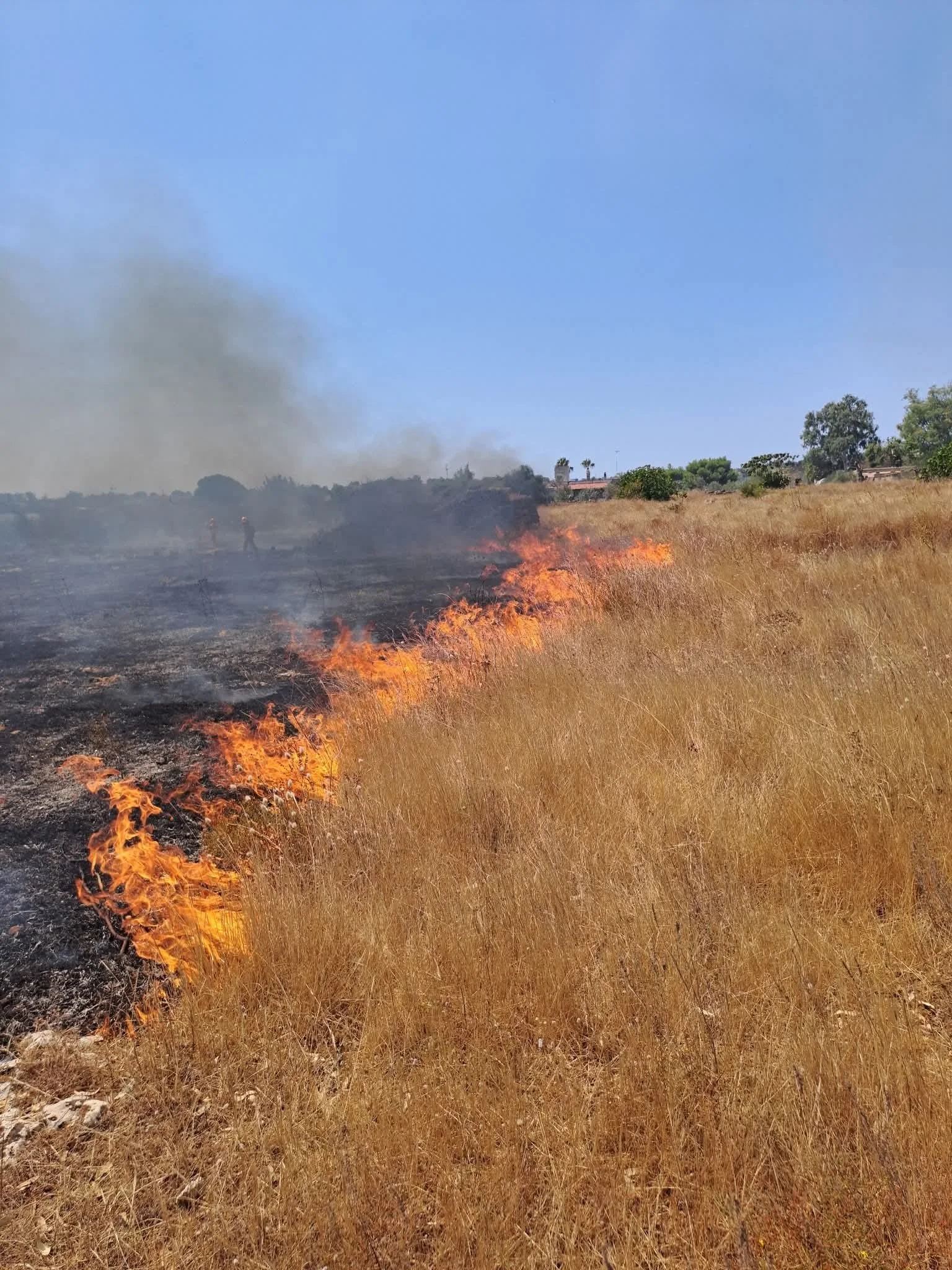 Puglia in fiamme: estate devastante, emergenza senza fine