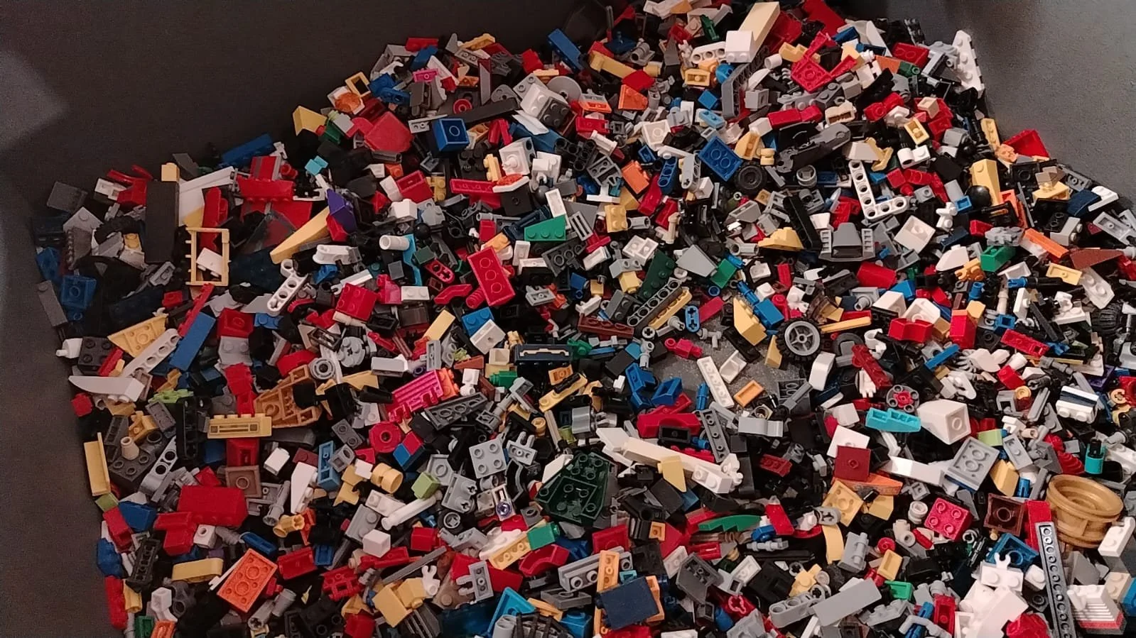 WhatsApp Image 2025-08-11 at 13.17.29.jpeg