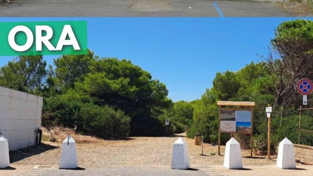 Il Sindaco Vito Parisi invita il Ministro per le Disabilità