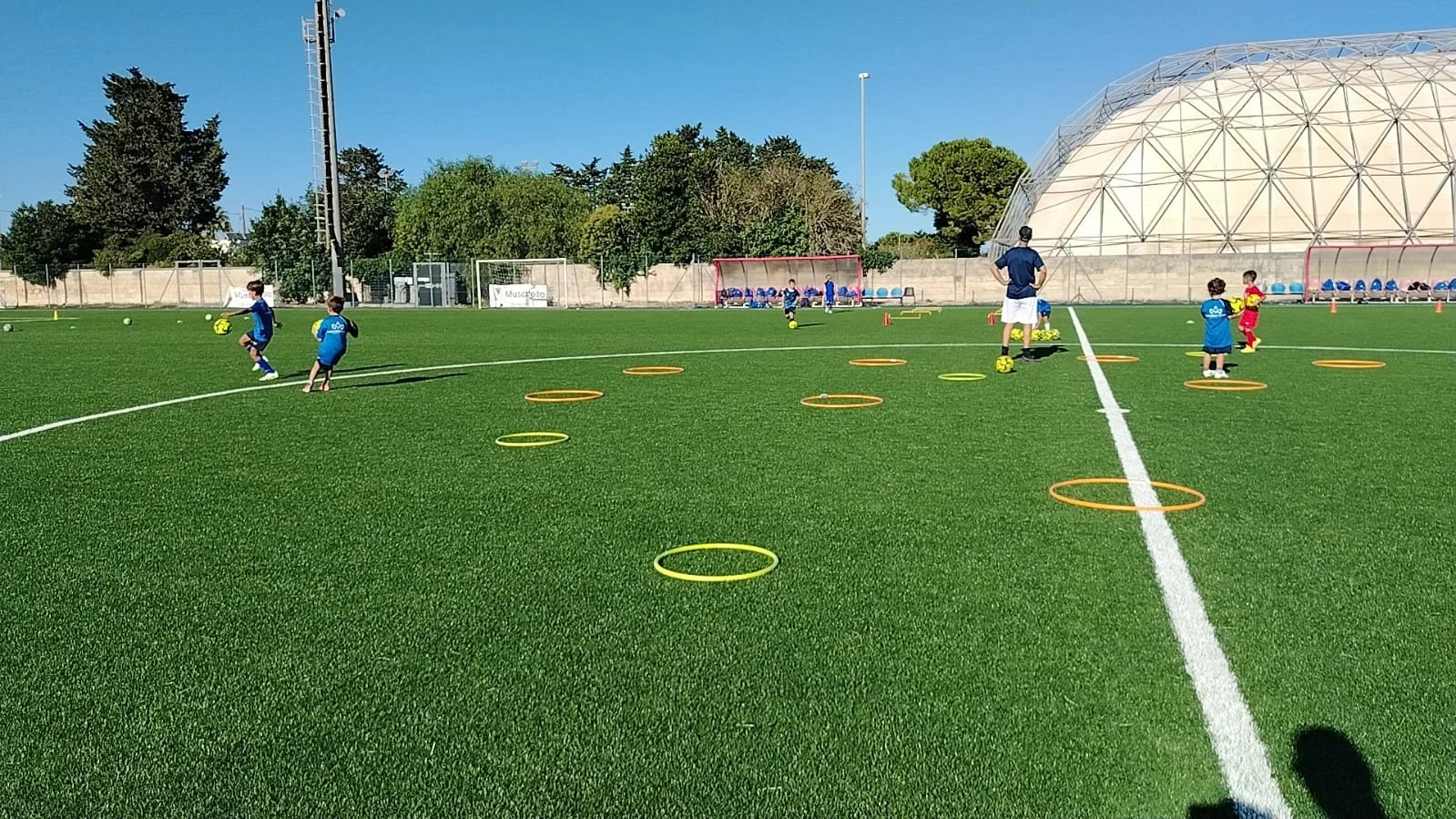 WhatsApp Image 2025-09-13 at 11.10.29.jpeg