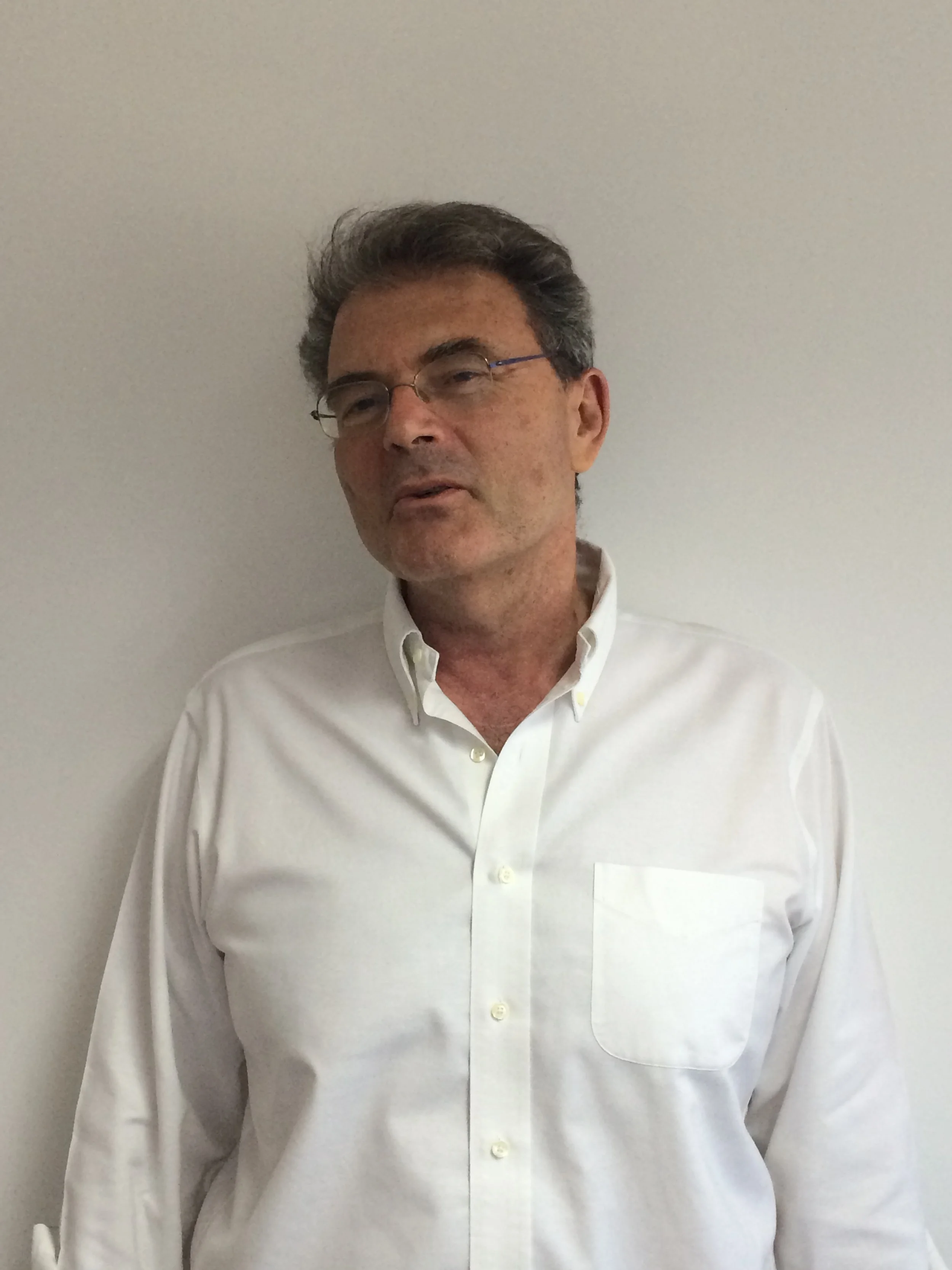 Luigi Prestinenza Puglisi.jpeg