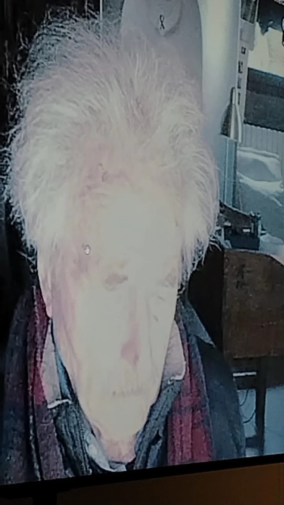 WhatsApp Image 2025-11-08 at 08.33.39.jpeg