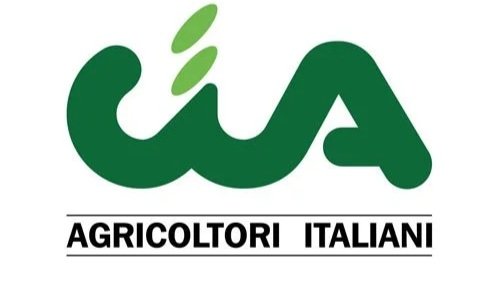 Italia Olivicola e CIA sull’olio d’oliva