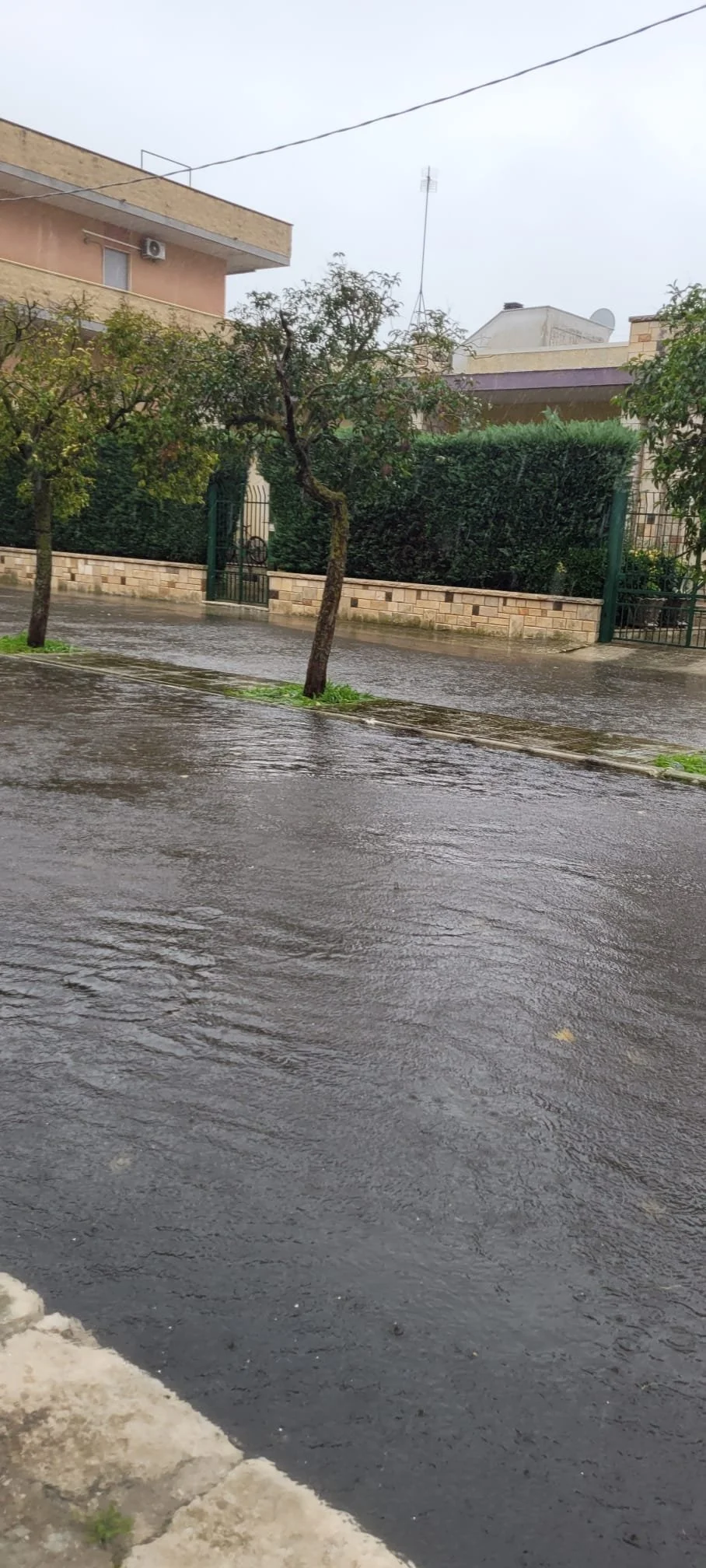 WhatsApp Image 2025-12-04 at 16.16.54 (2).jpeg