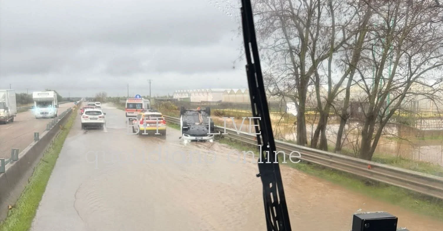 WhatsApp Image 2025-12-04 at 16.16.54.jpeg