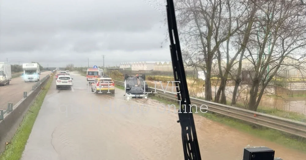 WhatsApp Image 2025-12-04 at 16.16.54.jpeg