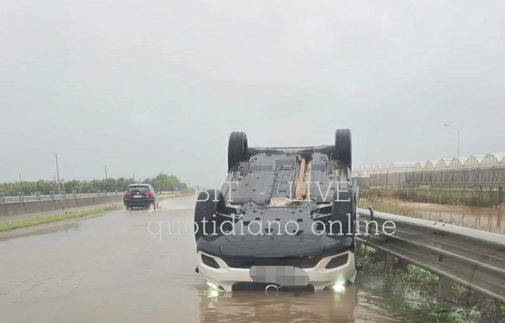 WhatsApp Image 2025-12-04 at 16.16.53 (2).jpeg