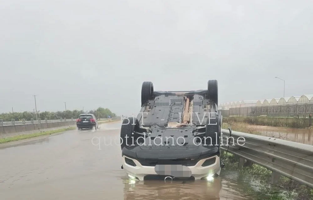 WhatsApp Image 2025-12-04 at 16.16.53 (2).jpeg