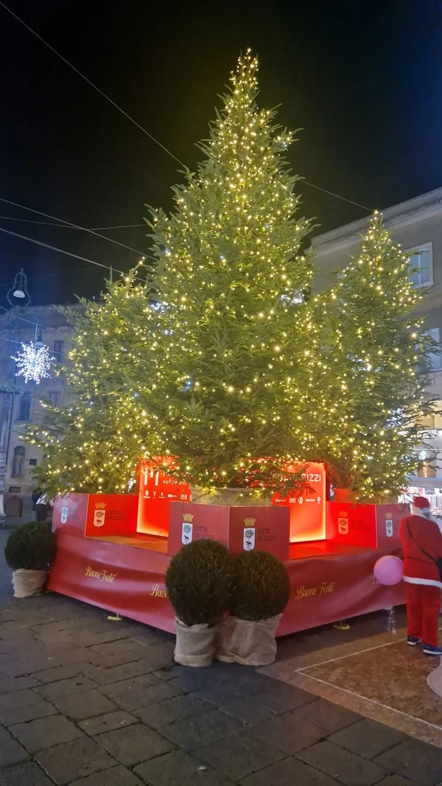 L’albero, il Sindaco e il Big Bang di provincia