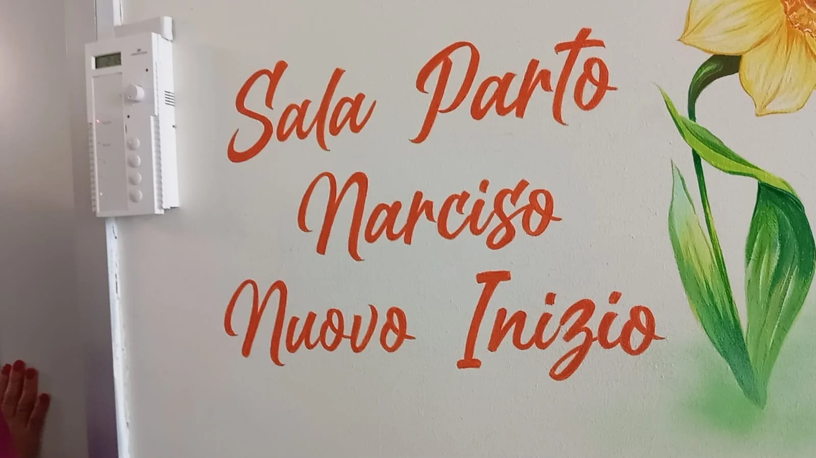 WhatsApp Image 2025-12-11 at 14.19.20.jpeg