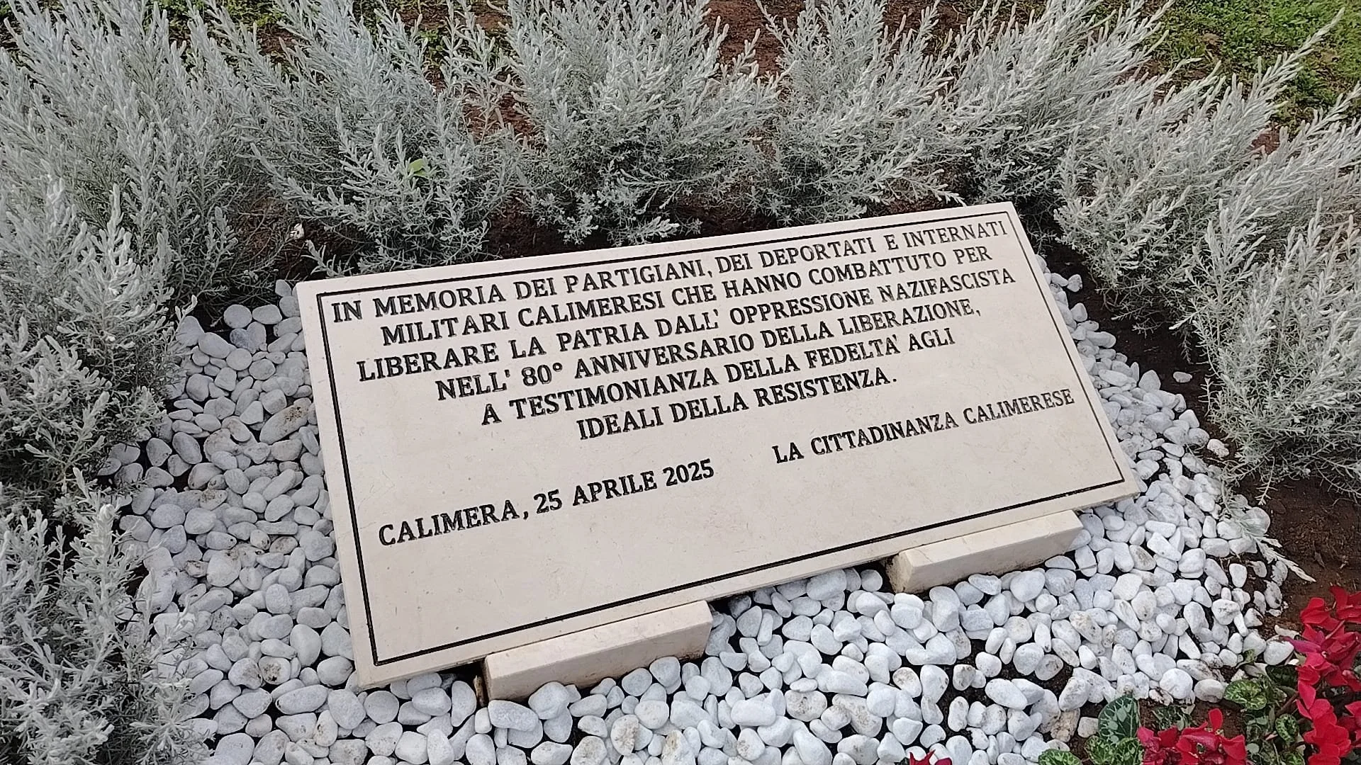 WhatsApp Image 2025-12-21 at 10.10.08 (1).jpeg