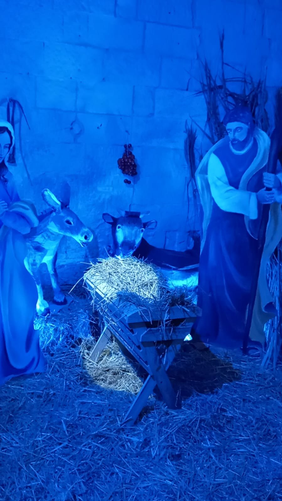 WhatsApp Image 2025-12-21 at 22.09.53.jpeg