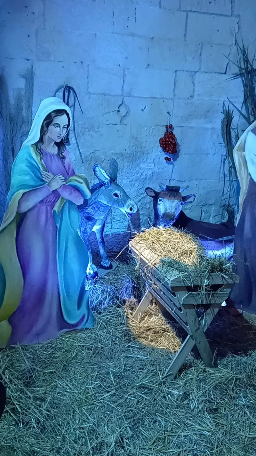 WhatsApp Image 2025-12-21 at 22.09.52 (5).jpeg