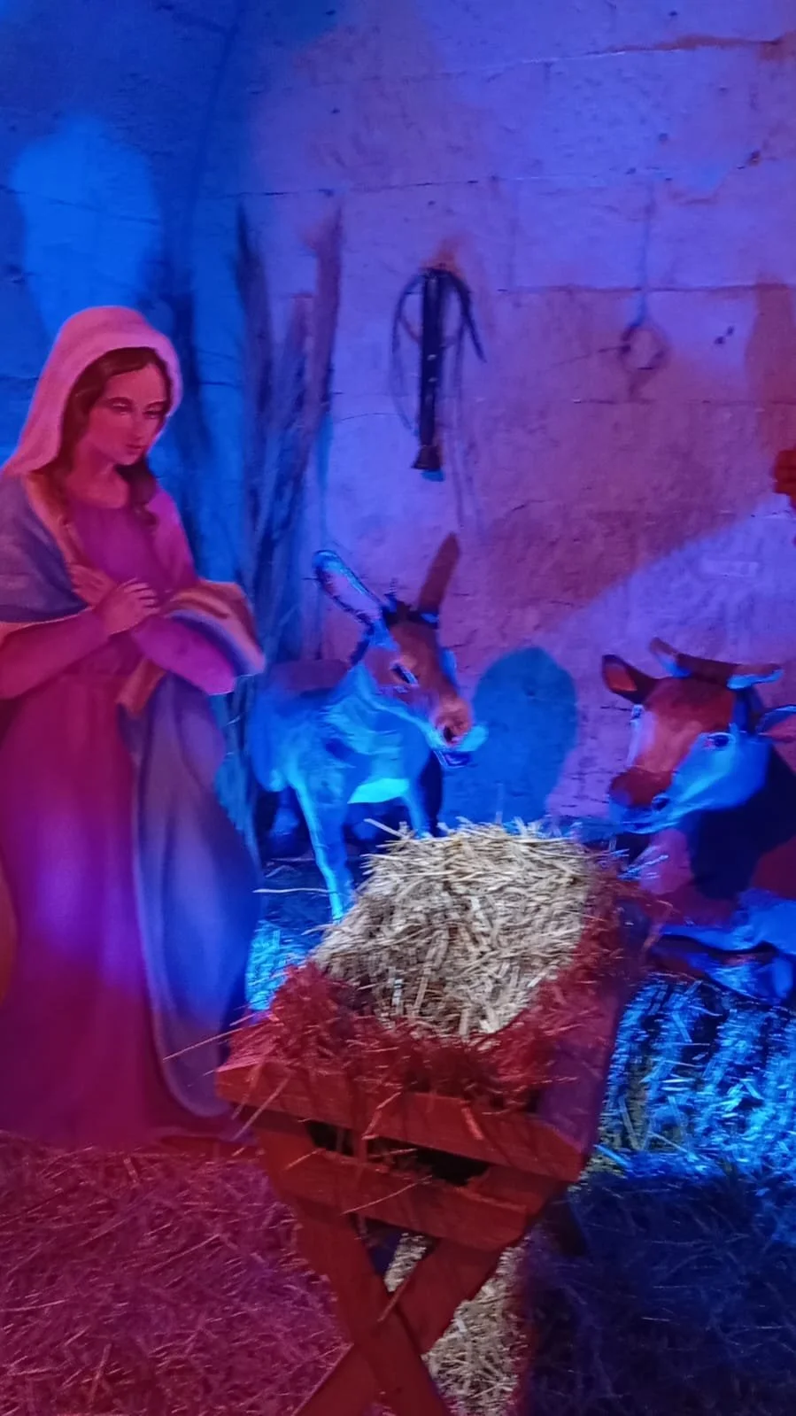 WhatsApp Image 2025-12-21 at 22.09.52 (4).jpeg