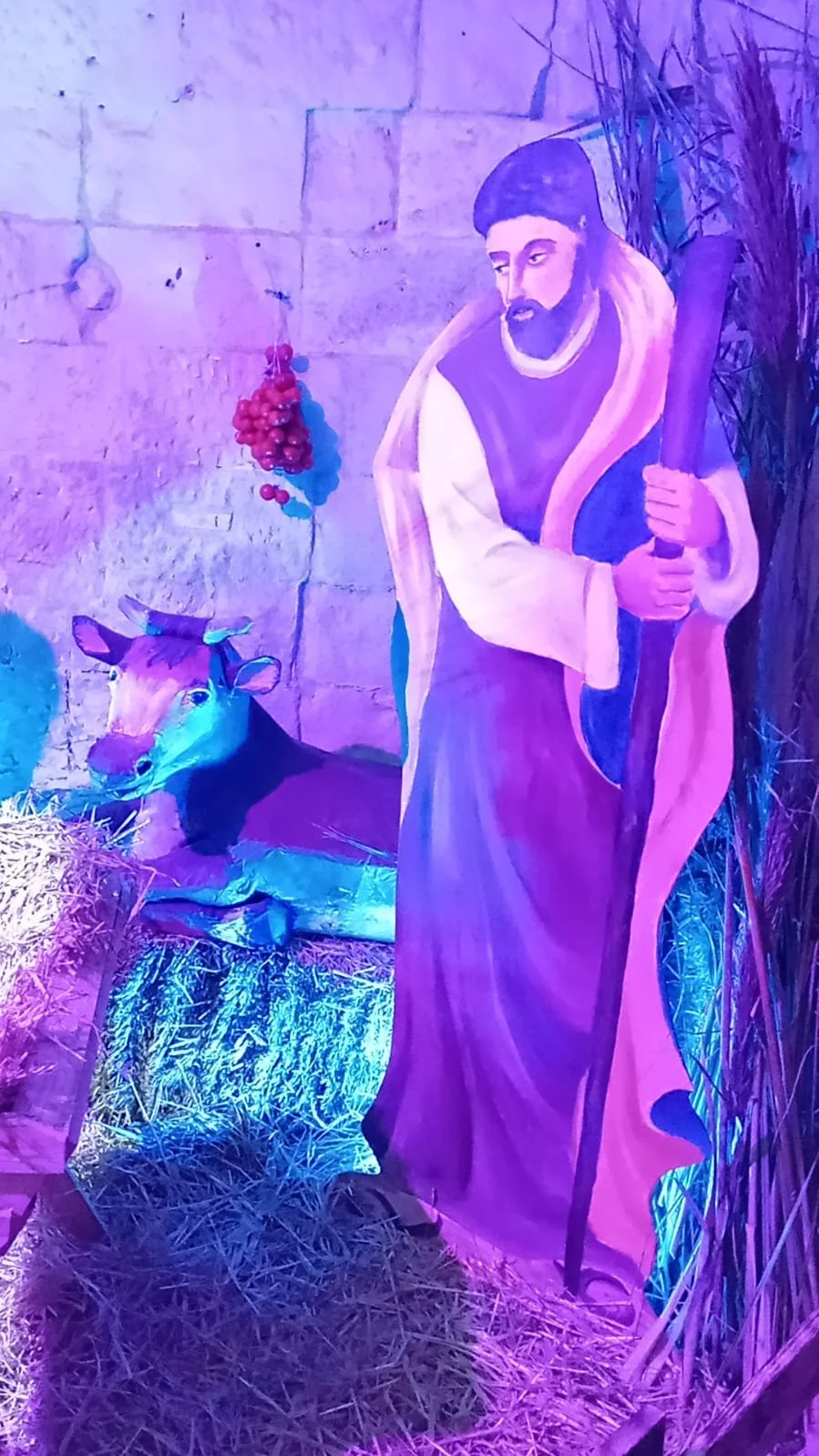 WhatsApp Image 2025-12-21 at 22.09.52 (2).jpeg