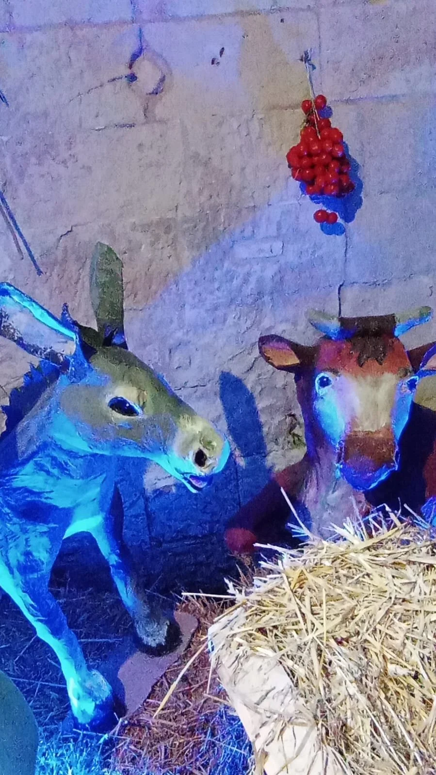 WhatsApp Image 2025-12-21 at 22.09.52.jpeg