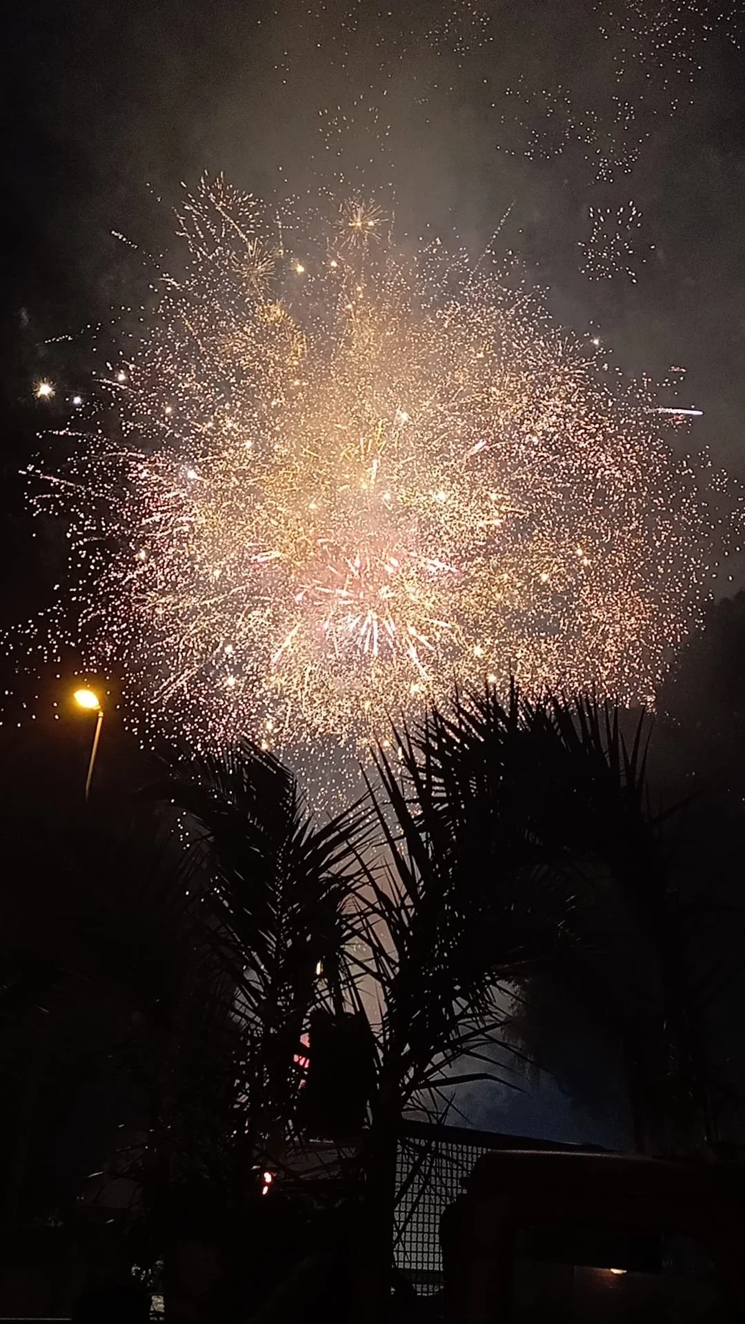 WhatsApp Image 2025-12-23 at 10.12.15.jpeg