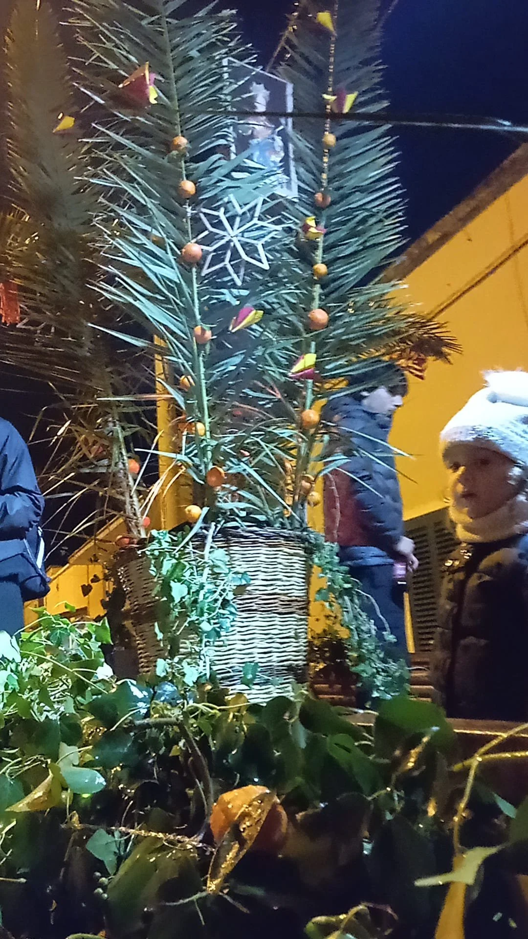 WhatsApp Image 2025-12-23 at 10.12.19 (1).jpeg