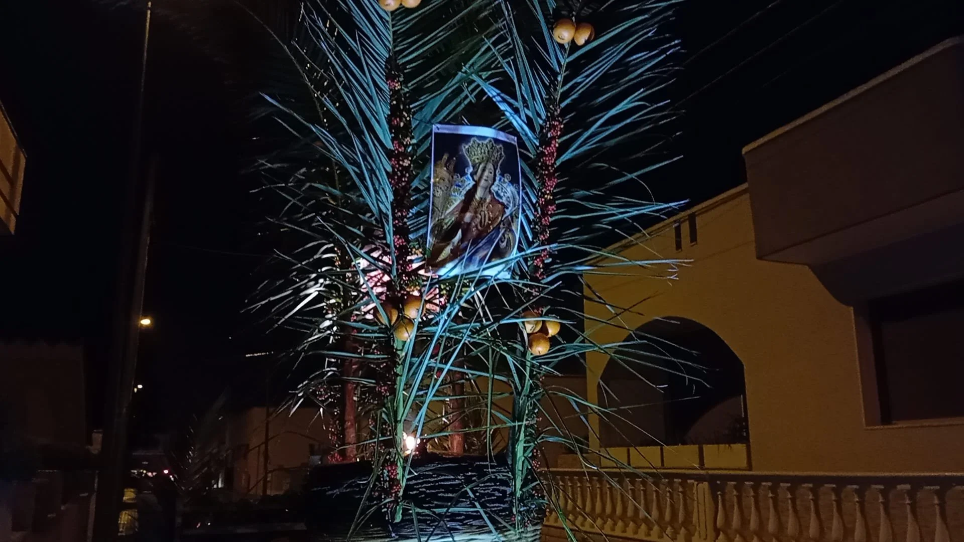 WhatsApp Image 2025-12-23 at 10.12.19.jpeg