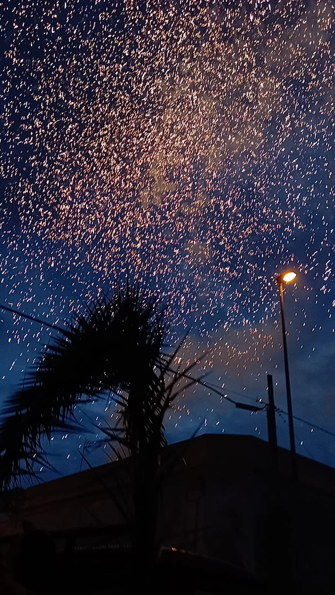 WhatsApp Image 2025-12-23 at 10.12.21.jpeg