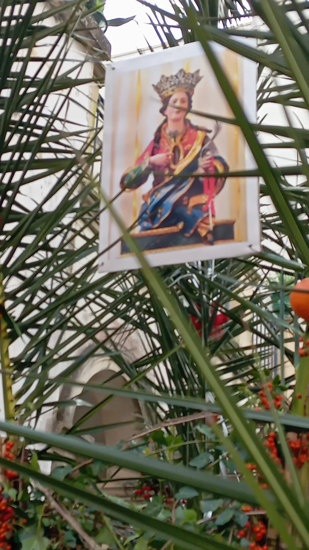 WhatsApp Image 2025-12-23 at 10.12.24.jpeg