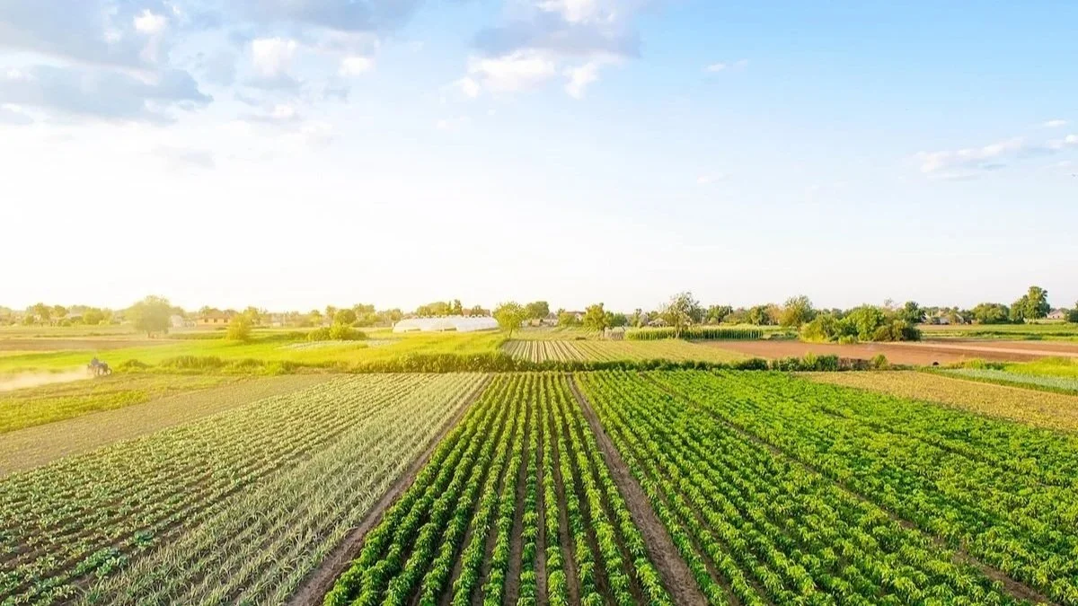 Acquisto di trattori
