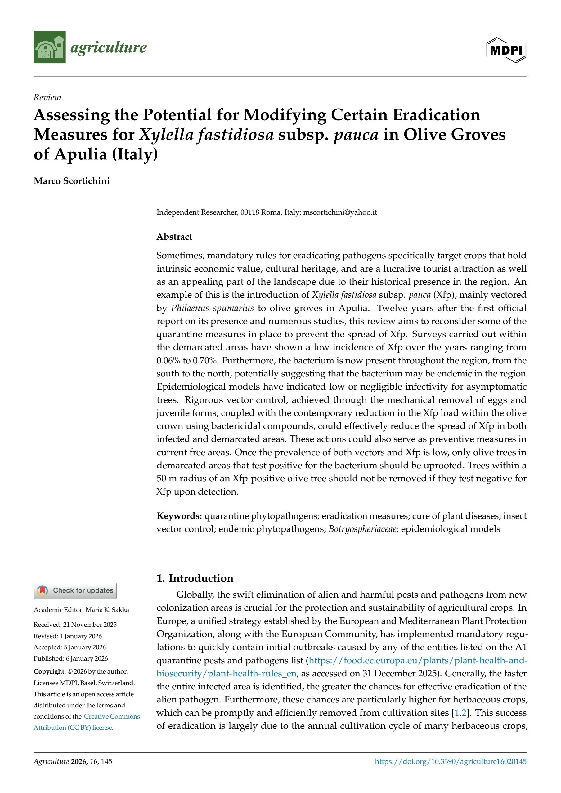 Xylella in Puglia: il batterio che mette a rischio gli ulivi e cosa possiamo fare