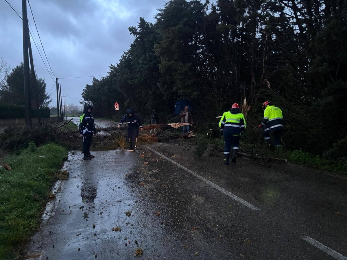 Provinciale Casarano.jpg