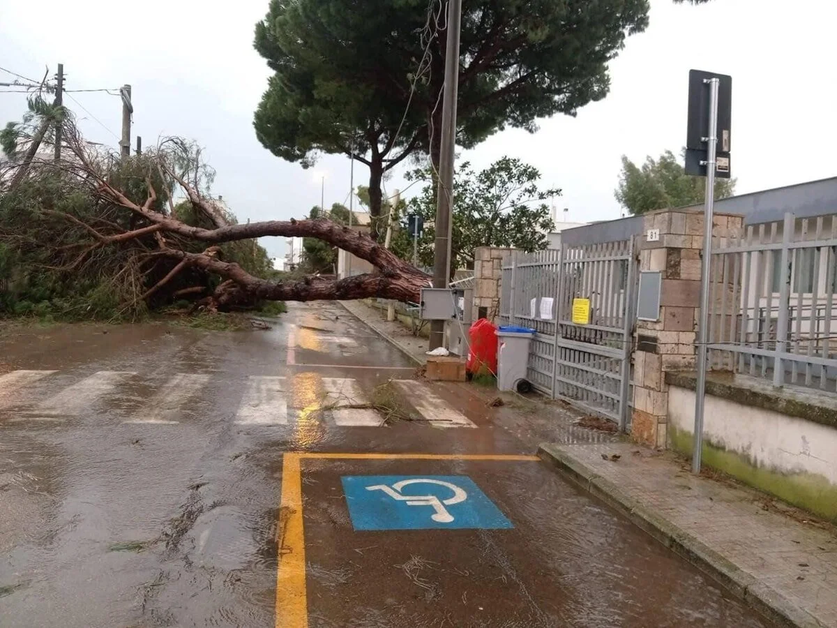 Guardia medica Presicce.jpg