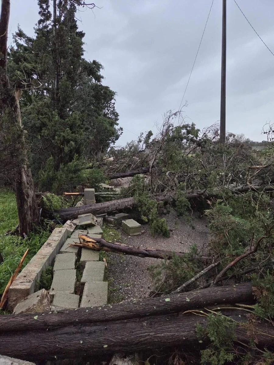 Campagne a Scorrano (foto Annamaria Vincenti).jpg