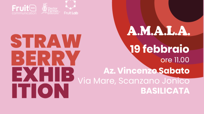 Fragola sotto i riflettori con la Strawberry Exhibition