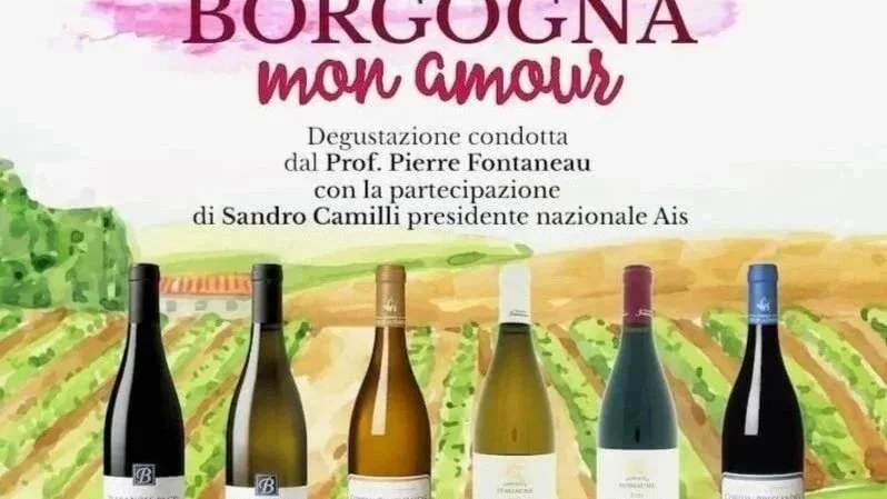 BORGOGNA, MITO DELL’ENOLOGIA PLANETARIA