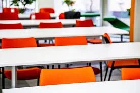 Video al vetriolo su TikTok contro il liceo “Virgilio”